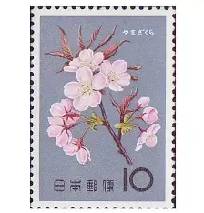 磯子区で切手の買取を検討している方へ|古い切手を処分する前の確認ポイント